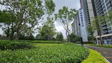 保利明玥江山实景图04