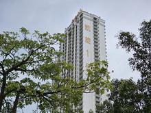 凯旋1号实景02