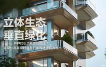 效果图