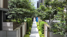 大华语山实景1