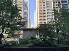 璞逸明月实景图6