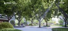华泰悦景园林效果图3