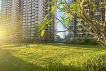 绿地·朗峯实景图