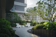 轨道C11实景图14