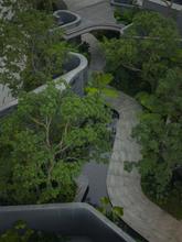 轨道C11园林图02