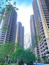 盛邦香颂实景图7