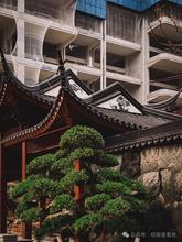 盛邦观宸实景图02