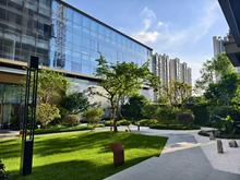 华泰悦景实景图11