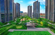 锦云实景01