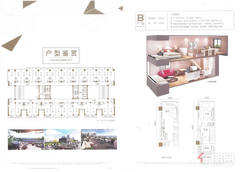 【B户型（单钥匙）】3室2厅1卫1厨