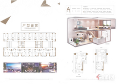 【A户型】3室1厅1卫1厨