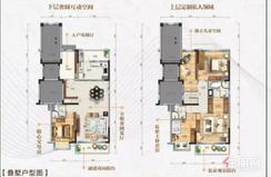 【B1户型】5室2厅3卫1厨
