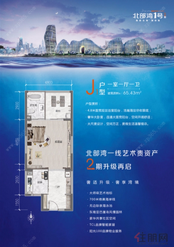 【2期J1户型65.43㎡】1室1厅1卫1厨