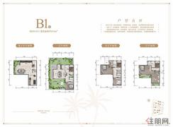 【别墅B1户型】5室2厅4卫1厨
