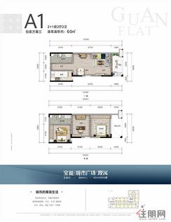 【A1户型】2室2厅2卫1厨1阳台