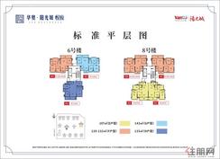 【6/8栋标准平层图】