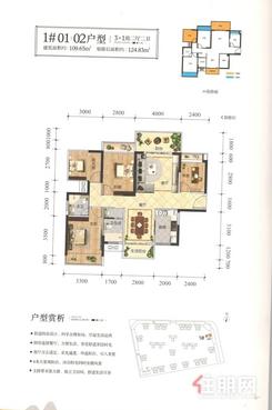 【1#01、02户型】4室2厅2卫1厨1阳台