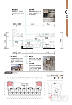 【云星城C户型】1室1厅1卫1厨1阳台
