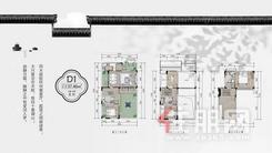 【别墅D1户型】