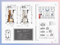 【D1户型】2室2厅2卫2厨
