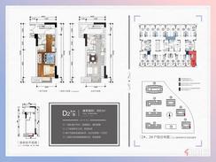 【D2户型】2室2厅2卫2厨