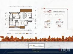 【C1户型】4室2厅2卫1厨2阳台