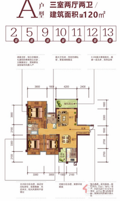 【A户型】3室2厅2卫