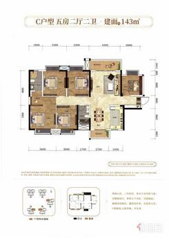 【C户型】5室2厅2卫1厨2阳台