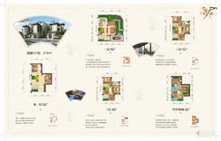 【院落别墅C户型】