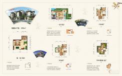 【院落别墅A户型】