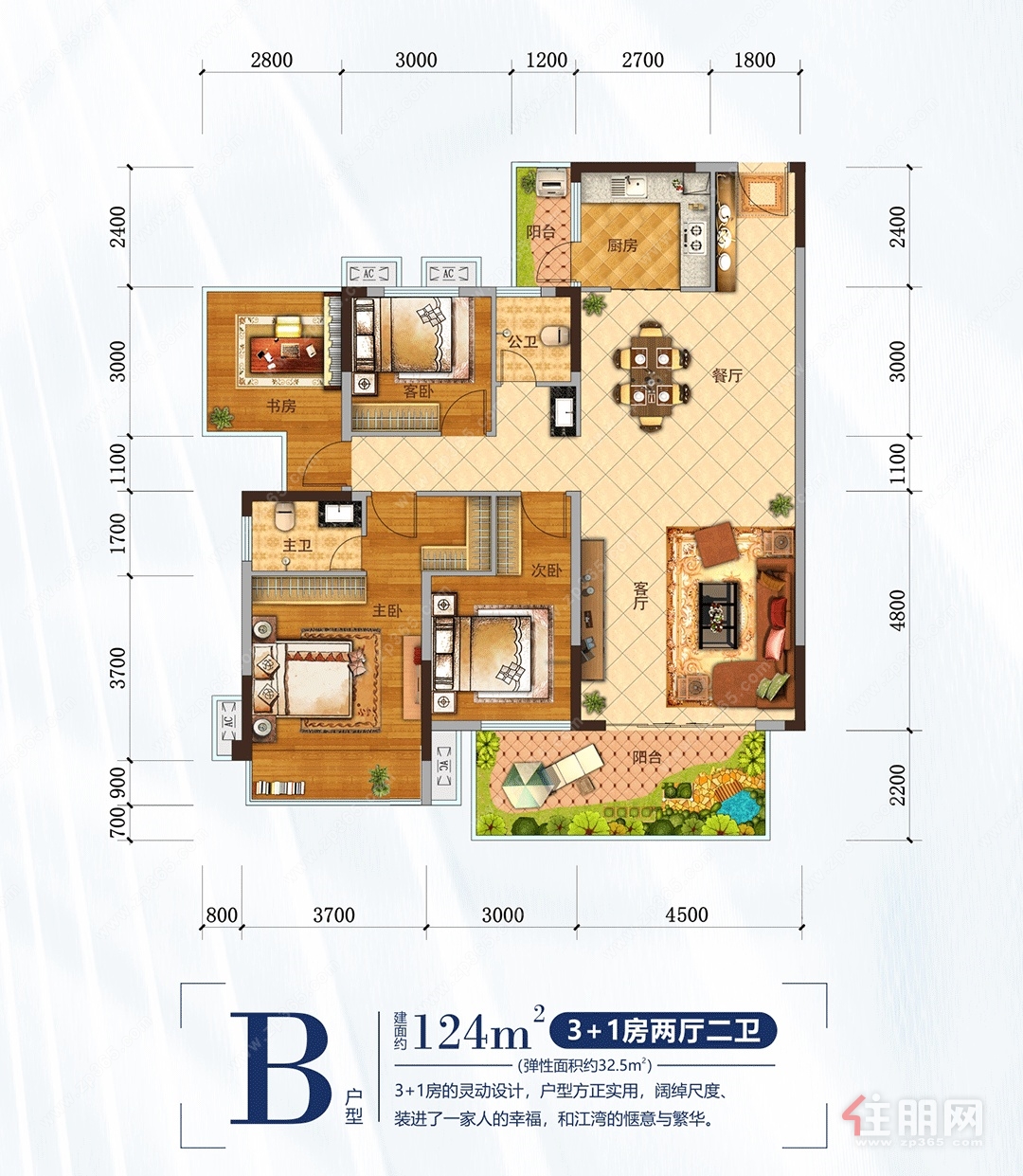 B户型