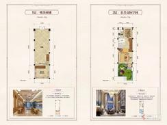 【别墅233.96㎡1层2层】