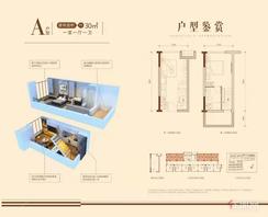 【A户型30㎡】1室1厅1卫1厨
