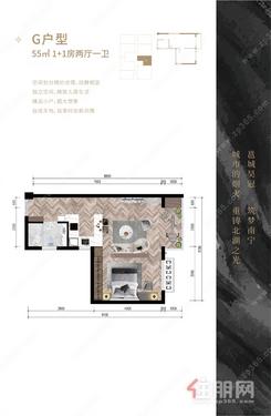【G户型55㎡1+1房两厅一卫】2室1厅1卫