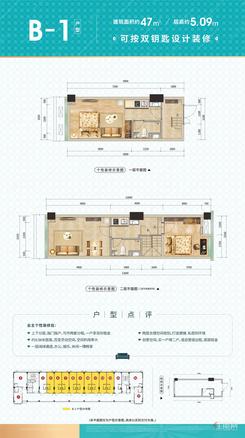【B-1户型-47㎡】