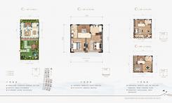 【C户型146.42㎡】