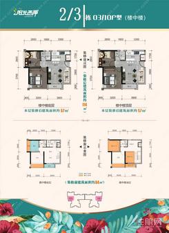 【2/3#栋03/10户型】
