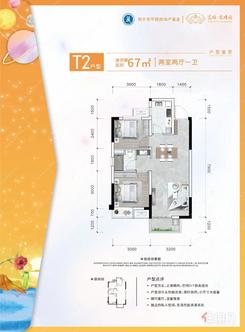 【T2户型】2室2厅1卫1厨1阳台