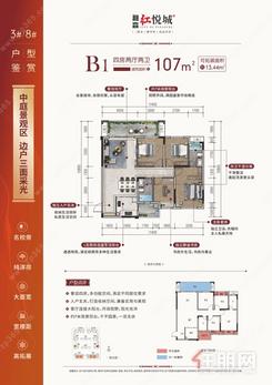 【红悦城B1户型】4室2厅2卫1厨2阳台