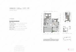 【达观偶数层H-205m五房】5室2厅2卫1厨1阳台
