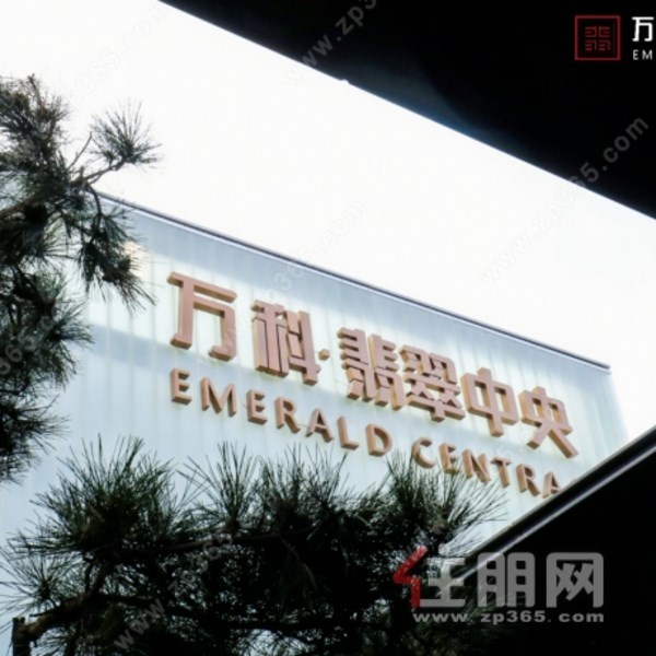 万科翡翠中央