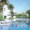 碧园·南1号