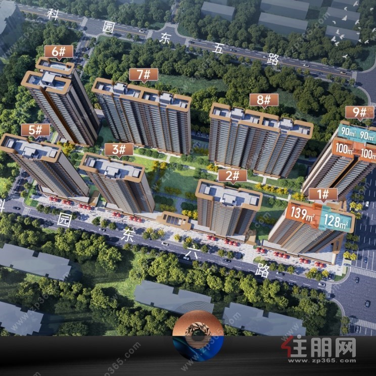 璞逸明月