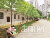 柳州正居金福第房开临时用房涉及违建却迟迟不拆 城管介入调查