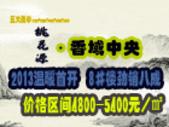 桃花源·香域中央2013温暖首开 8#楼劲销八成