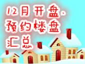 多盘开盘预约点燃冬日里的一把火 12月开盘/预约楼盘汇总