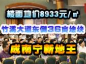 楼面地价8933元每平 竹溪大道东侧36亩地块成南宁新地王
