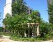 踩盘：远辰金湾蓝岸1#SOHO公寓 单身贵族的**