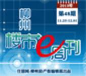 2013年柳州楼市e周刊第48期(11月25日-12月01日)