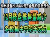 2013年12月柳州楼盘开盘、预告信息一览表